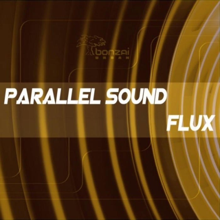 PARALLEL SOUND/EVREN D feat TACLAN - Flux