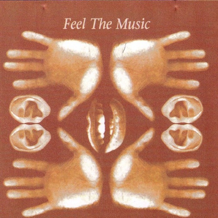 JOHNSON, Paul - Feel The Music