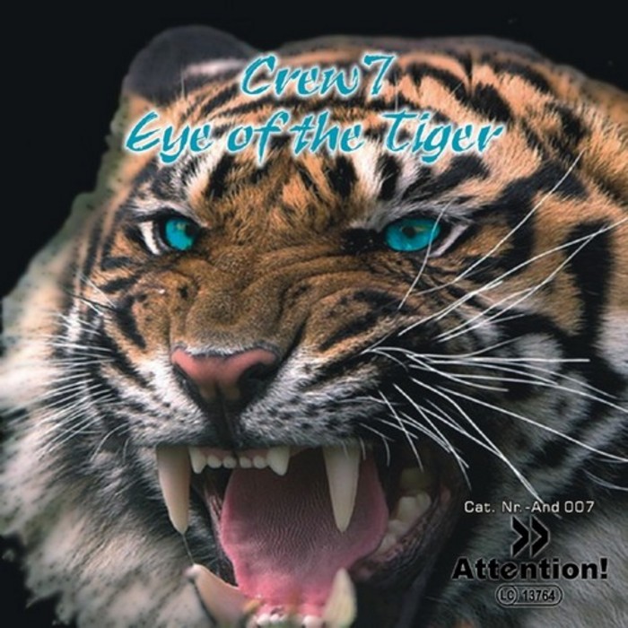 eye of the tiger instrumental mp3 download