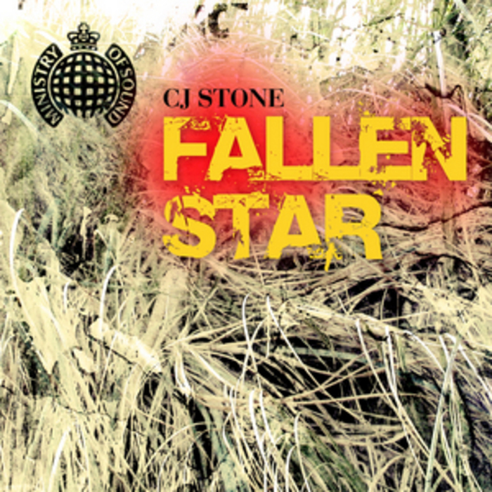 STONE, CJ - Fallen Star