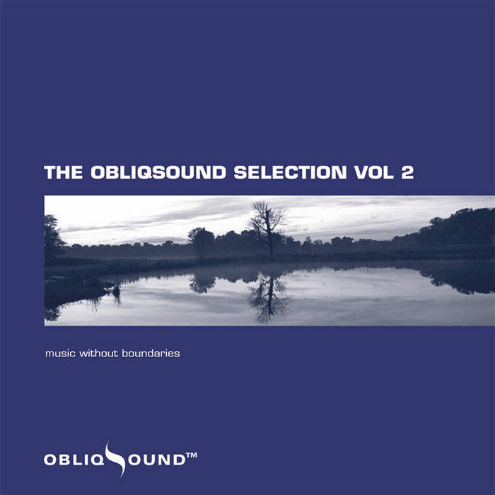 VARIOUS - The ObliqSound Selection Volume 2
