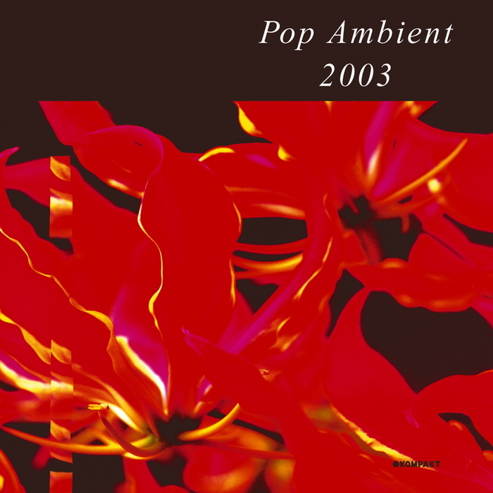 VARIOUS - Pop Ambient 2003