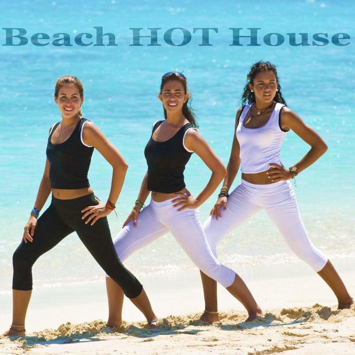 VARIOUS - Beach Hot House
