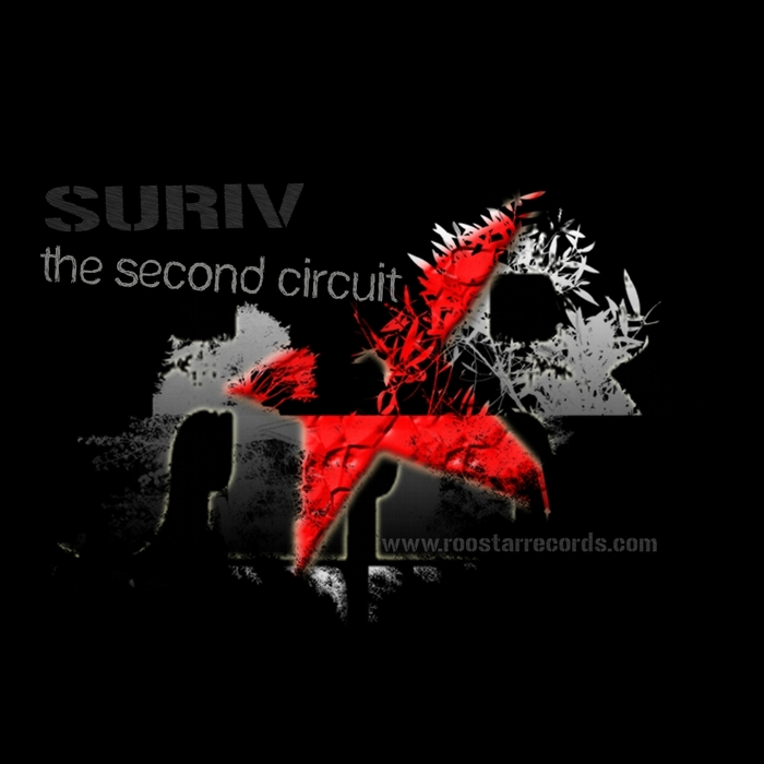 SURIV/LILPHIL - The Second Circuit