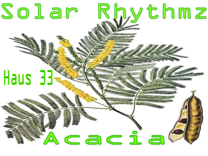 SOLAR RHYTHMZ - Acacia