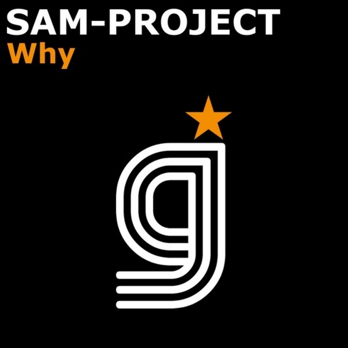 SAM PROJECT - Why