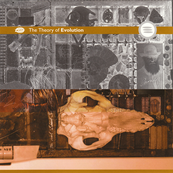 VARIOUS - The Theory Of Evolution