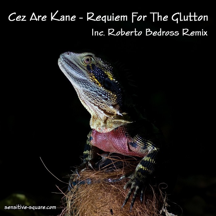 CEZ ARE KANE - Requiem For The Glutton