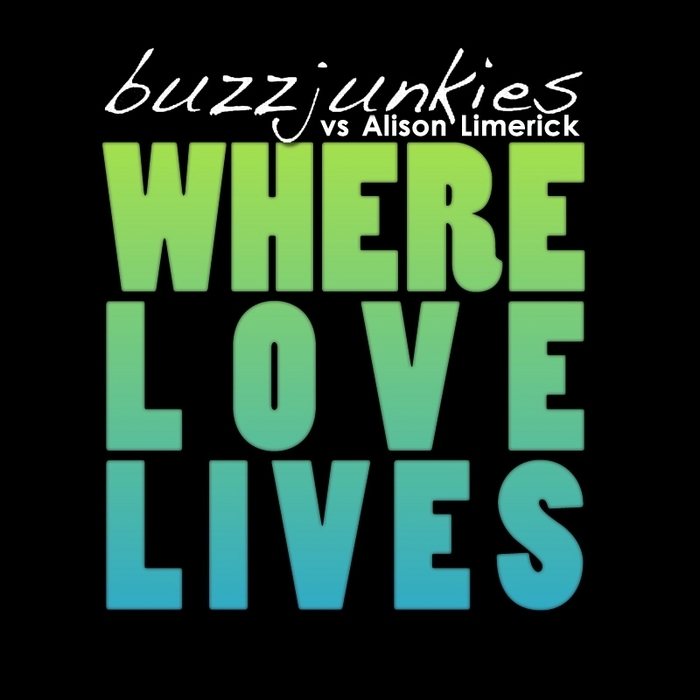 BUZZ JUNKIES vs ALISON LIMERICK - Where Love Lives