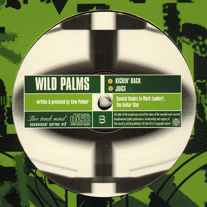 LEE CURTIS CONNECTION/WILD PALMS - Two Track Minds