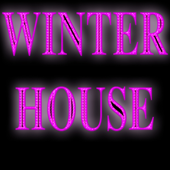 VARIOUS - Winter House