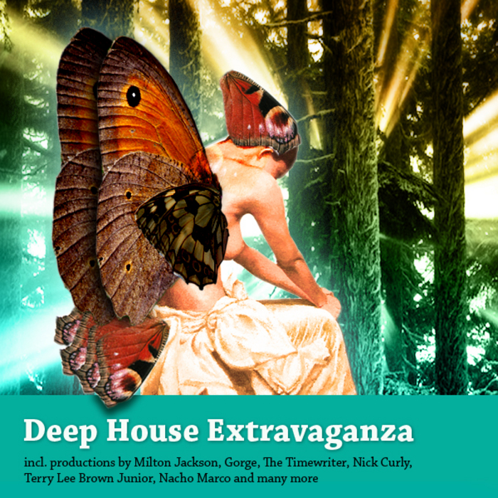 VARIOUS - Deep House Extravaganza