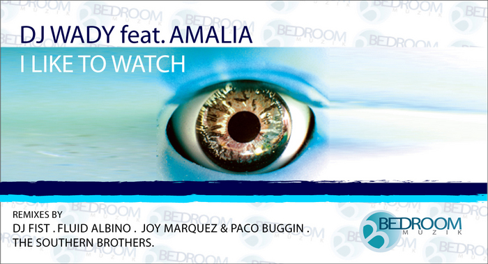 DJ WADY feat AMALIA - I Like To Watch