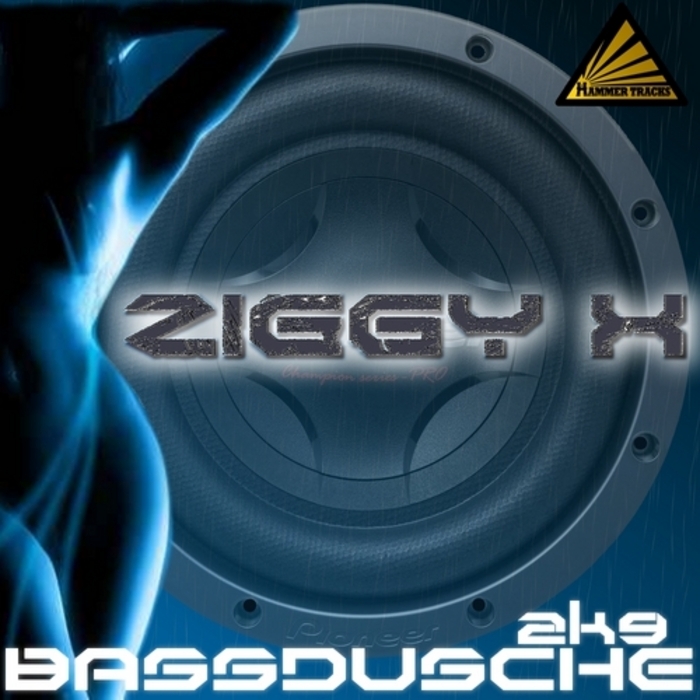 ZIGGY X - Bassdusche 2K9