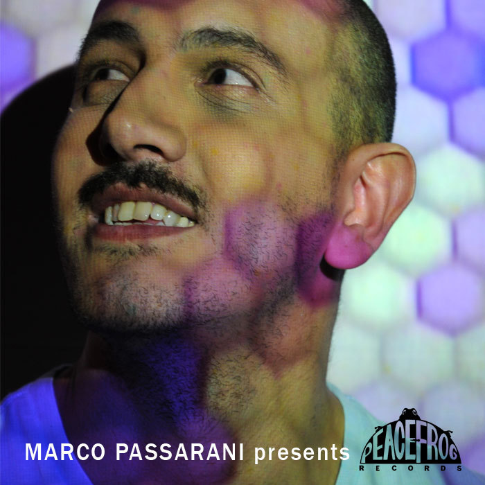 PASSARANI, MARCO/VARIOUS - Marco Passarani Presents Peacefrog (unmixed tracks)
