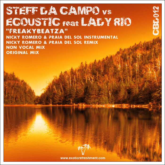 DA CAMPO, Steff vs ECOUSTIC feat LADY RIO - Freakybeatza
