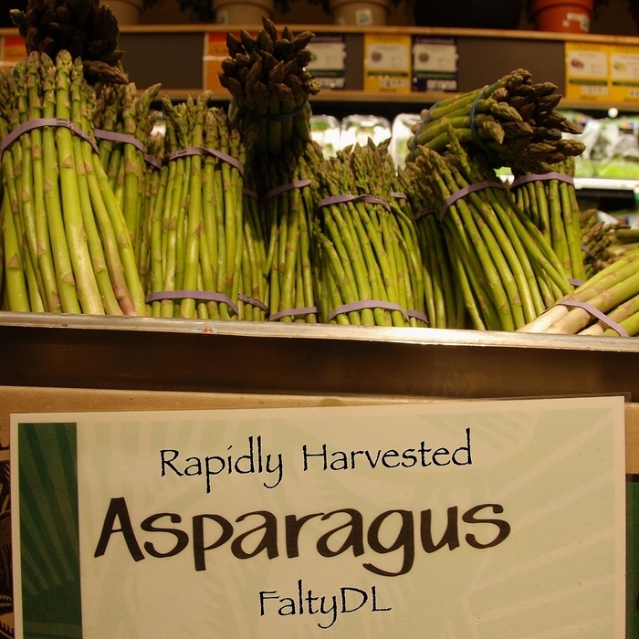 FALTYDL - Rapidly Harvested Asparagus EP