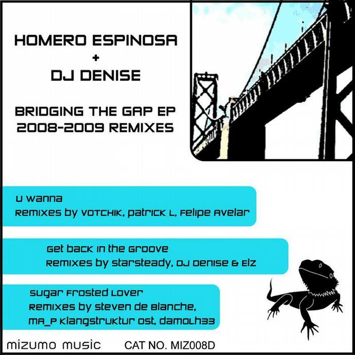 ESPINOSA, Homero/DJ Denise - Bridging The Gap EP (2008-2009 remixes)