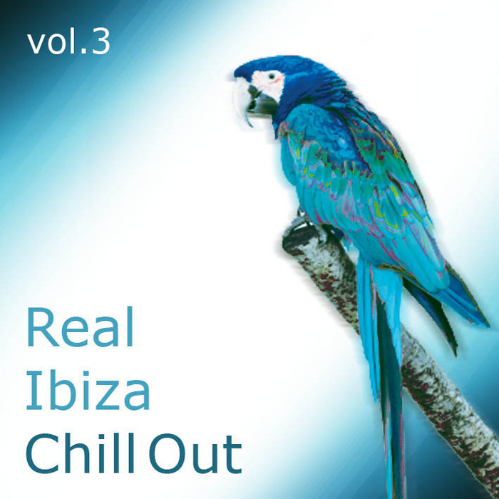 VARIOUS - Real Ibiza Chill Out Vol 3