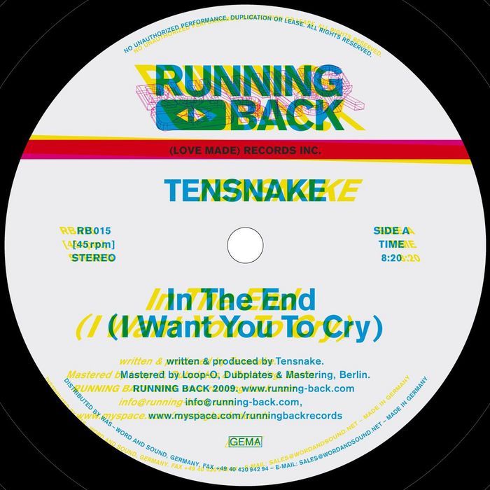 TENSNAKE - In The End (I Want You To Cry)