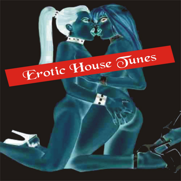 VARIOUS - Erotic House Tunes