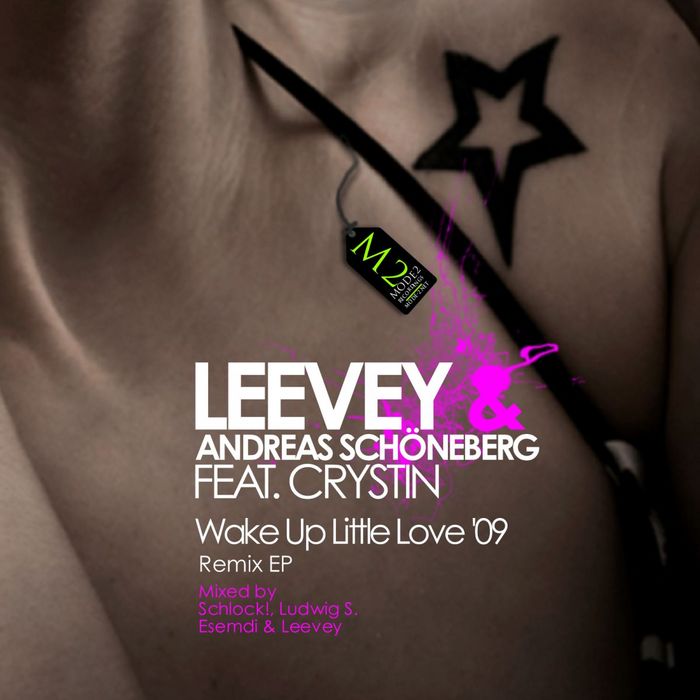 LEEVEY & ANDREAS SCHONEBERG feat CRYSTIN - Wake Up Little Love 09: The Remixes