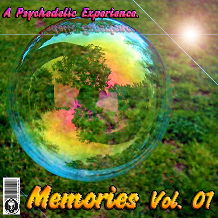 VARIOUS - Memories Vol 01