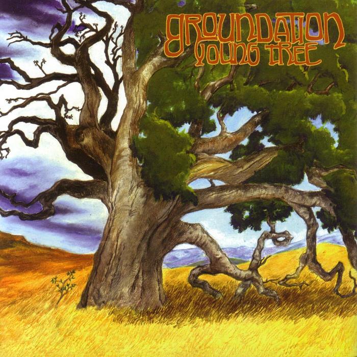 GROUNDATION - Young Tree