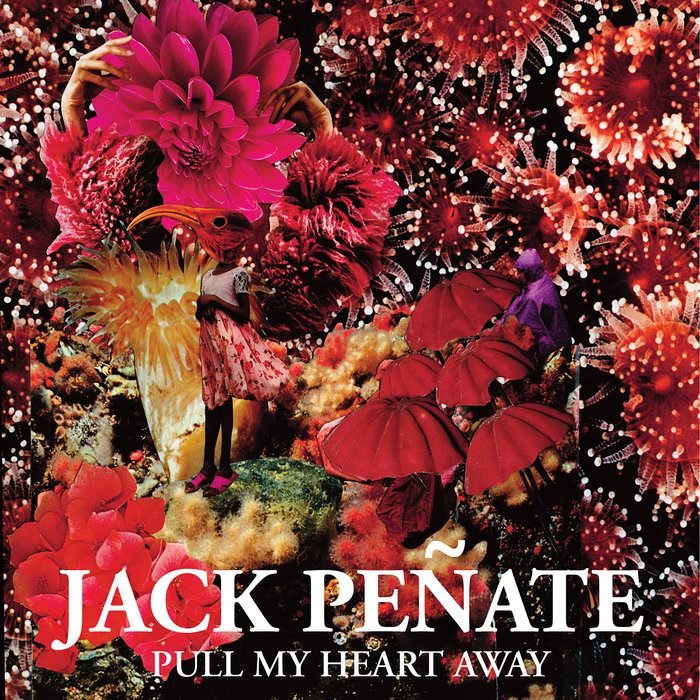 pull my heart away jack penate