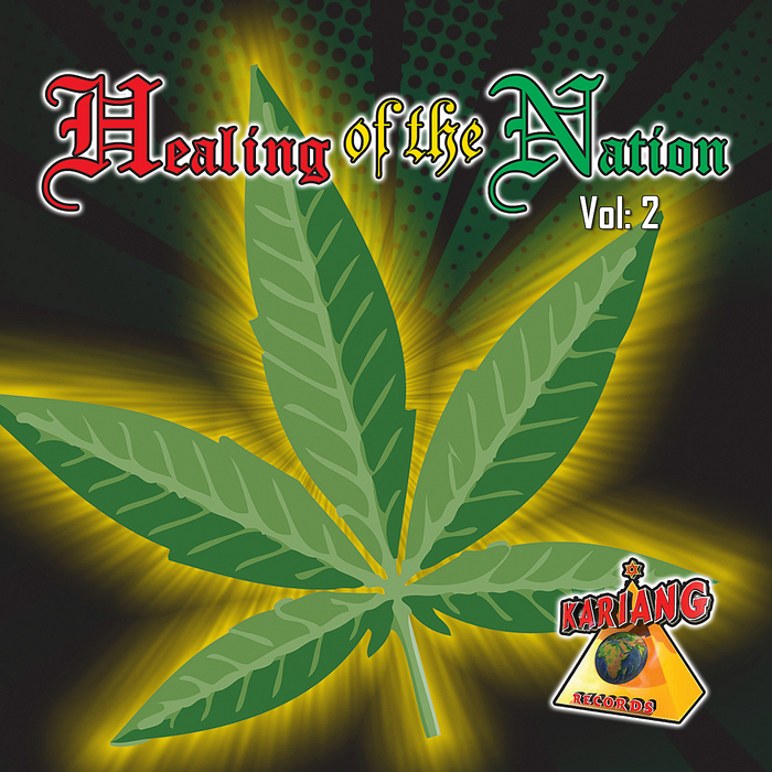 VARIOUS - Healing Of The Nation: Volume 2 (unmixed tracks)