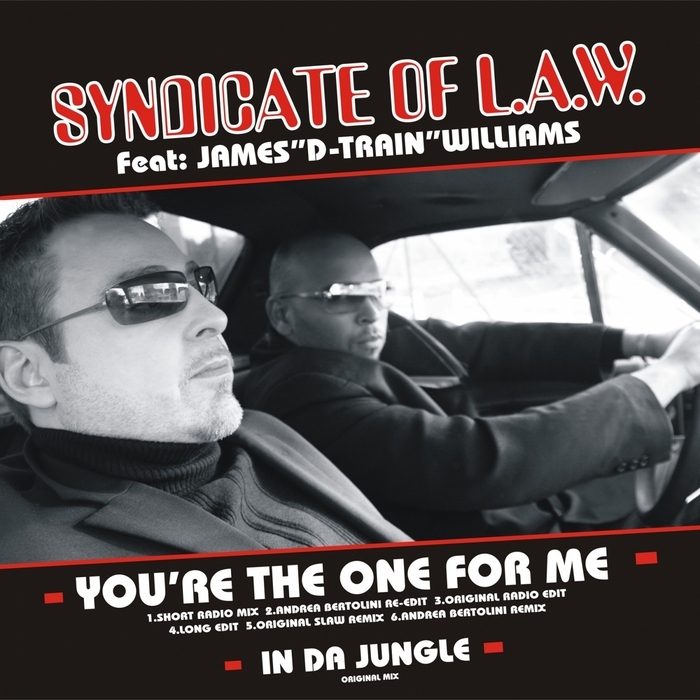 SYNDICATE OF LAW feat D TRAIN - You're The One For Me