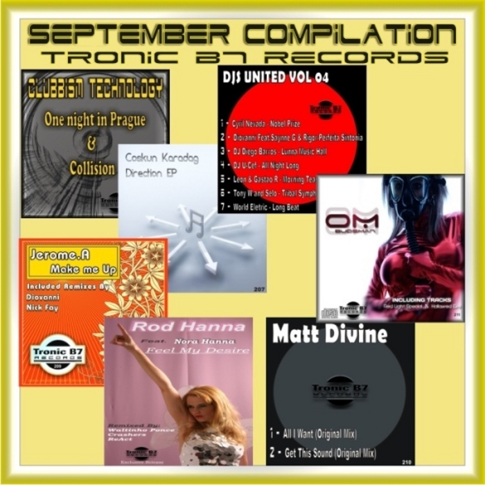 VARIOUS - September Compilation: Vol 2 (unmixed tracks)