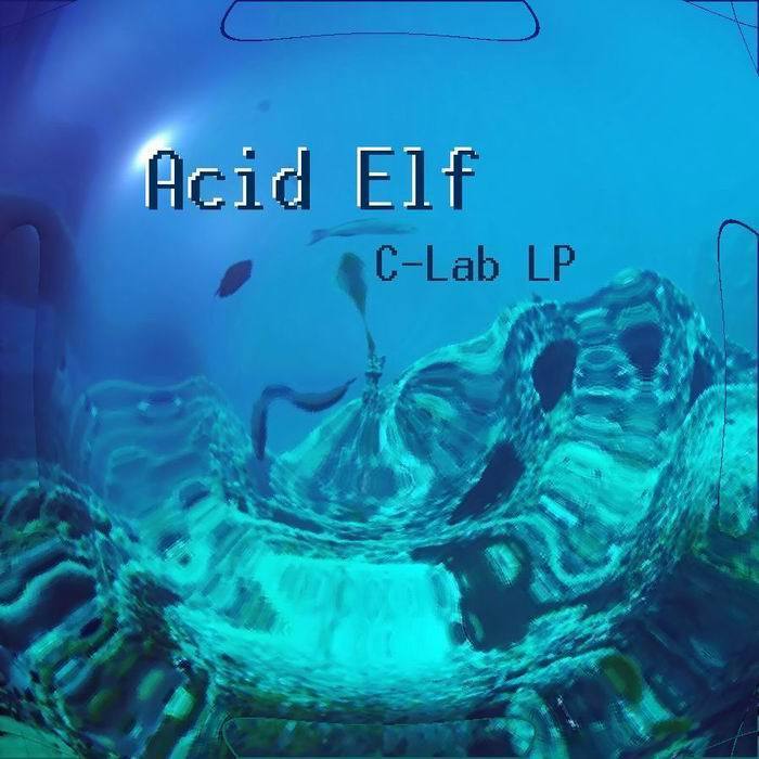 ACID ELF - C Lab LP