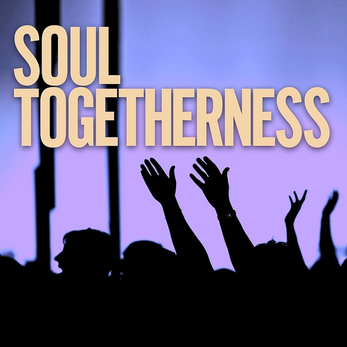 VARIOUS - Soul Togetherness Deluxe '09 (unmixed tracks)