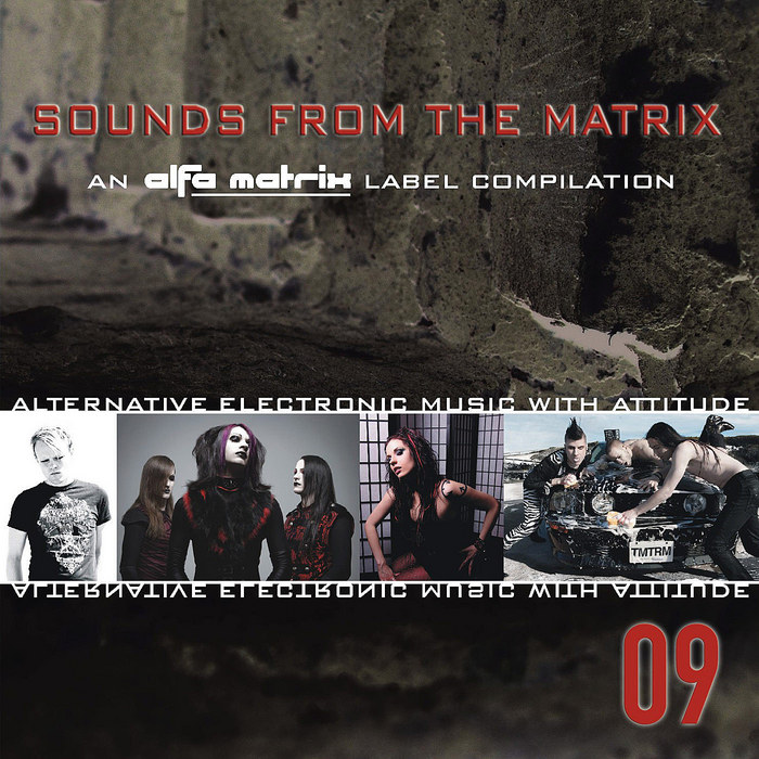 VARIOUS - Sounds From The Matrix (unmixed tracks)