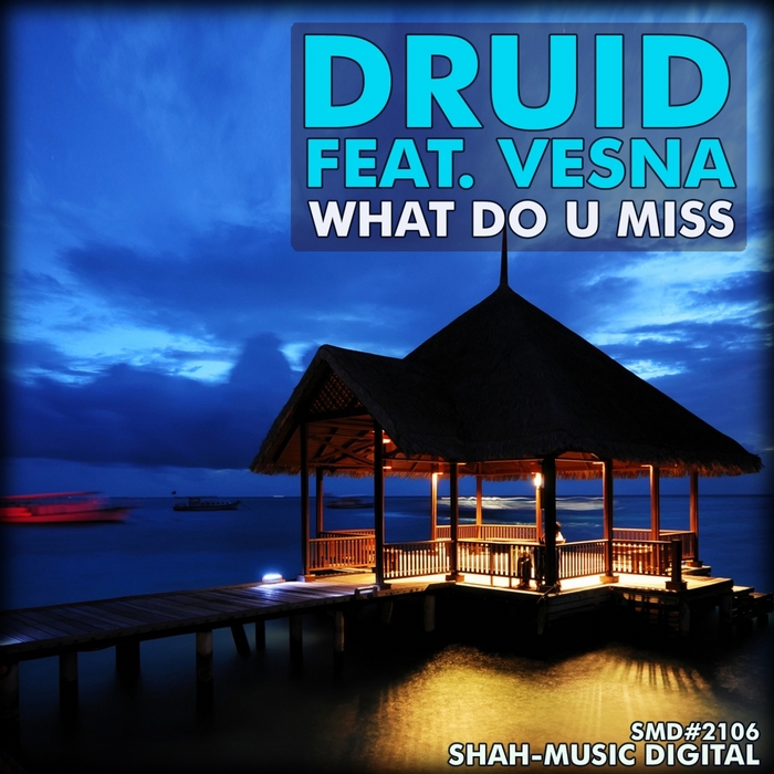 DRUID feat VESNA - What Do U Miss