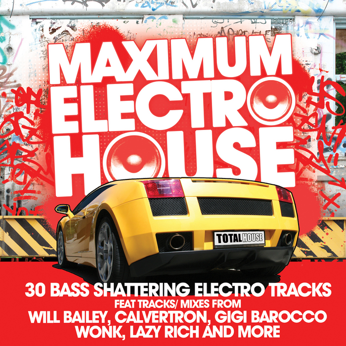 VARIOUS - Maximum Electro House (unmixed tracks)