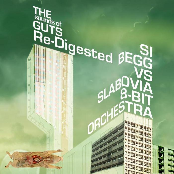 BEGG, Si/SLABOVIA 8 BIT ORCHESTRA - The Sounds Of Guts Re-Digested