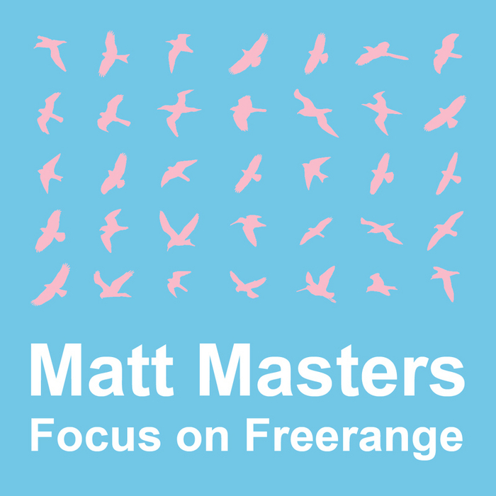 VARIOUS - Focus On: Freerange Matt Masters