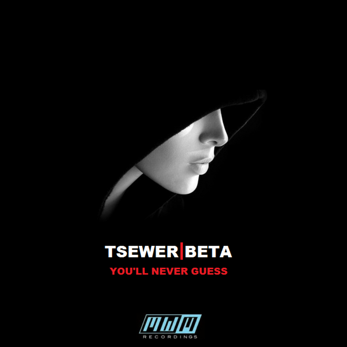 TSEWER BETA - You'll Never Guess