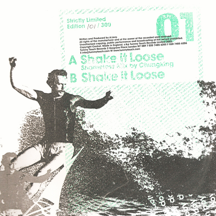 DOLPHIN BOY - Shake It Loose