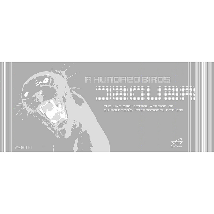 A HUNDRED BIRDS - Jaguar