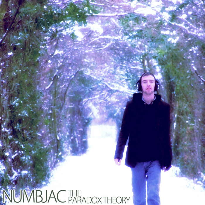 NUMBJAC - The Paradox Theory