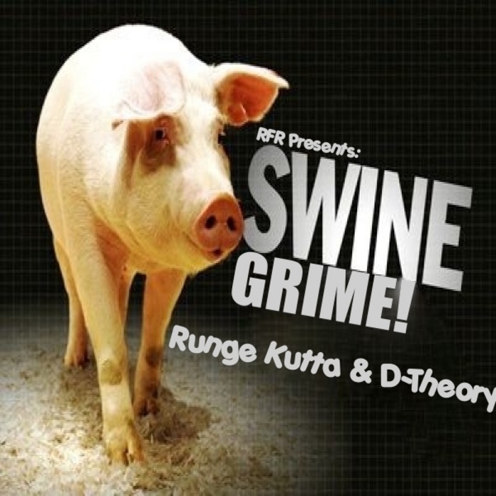 RUNGE KUTTA & D THEORY - Swine Grime