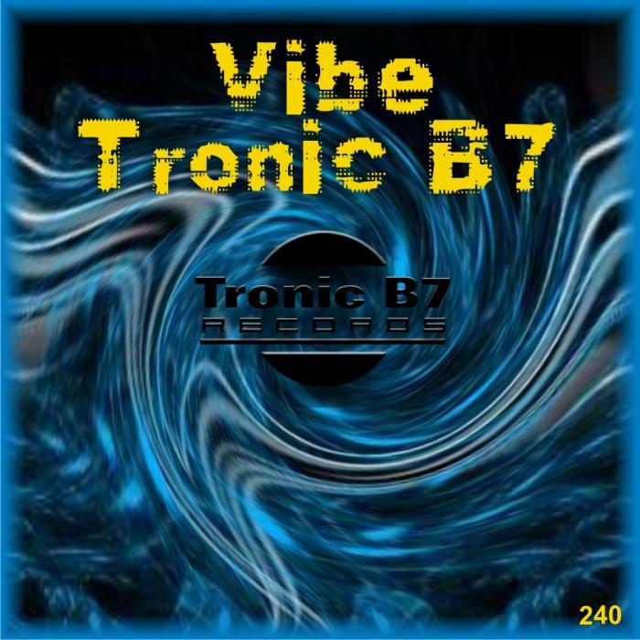 VARIOUS - Vibe Tronic B7