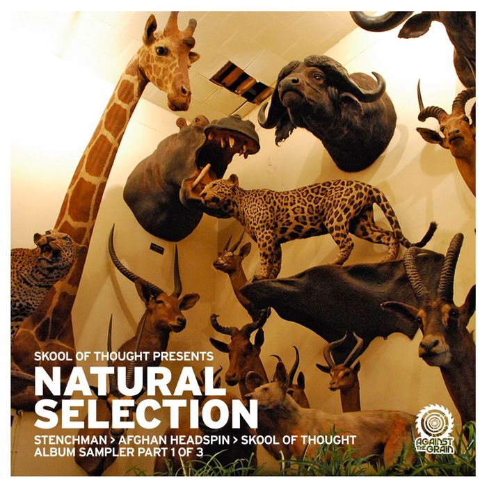 SKOOL OF THOUGHT/AFGHAN HEADSPIN/STENCHMAN - Natural Selection Album Sampler Pt 1