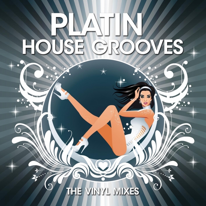 VARIOUS - Platin House Grooves (The Vinyl mixes)