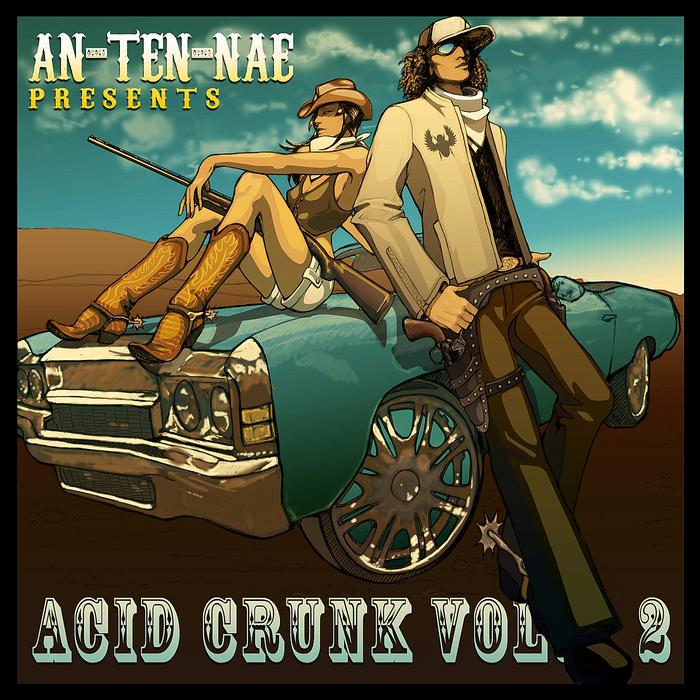 VARIOUS - An Ten Nae Presents Acid Crunk Vol 2
