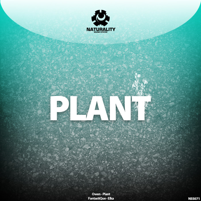 OWEN/FANTASTIQUE - Plant