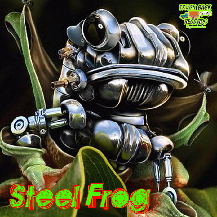 VARIOUS - Steel Frog Riddim
